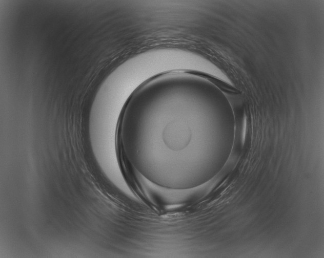 X0000084030748200702232258