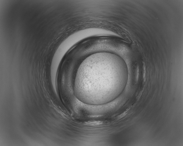 X0000084030750200702232258