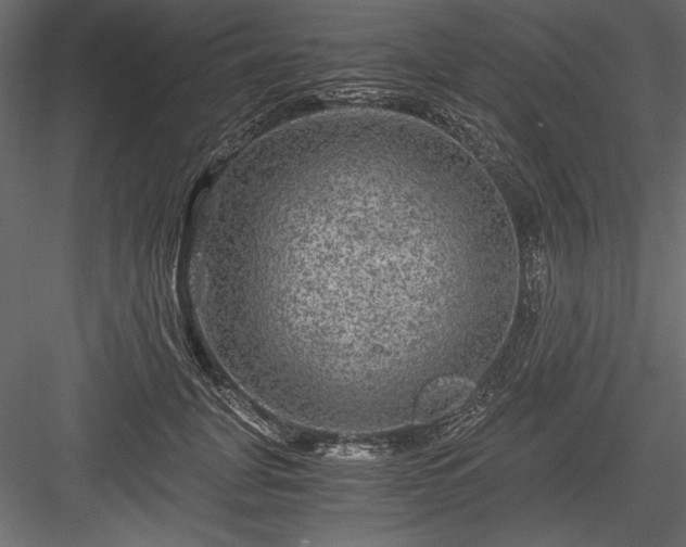 X0000084030751200702232258