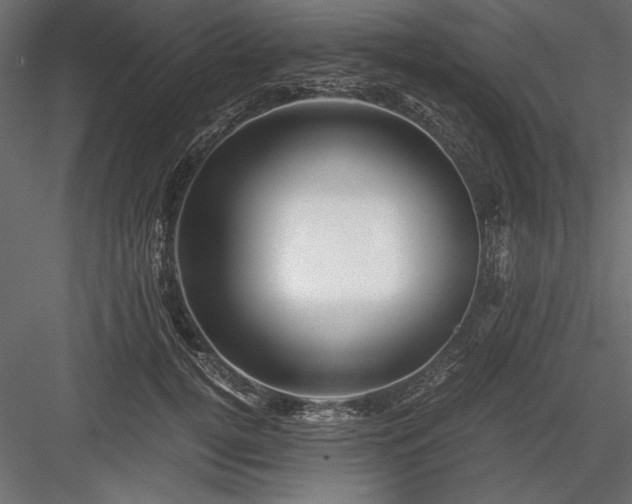 X0000084030752200702232258