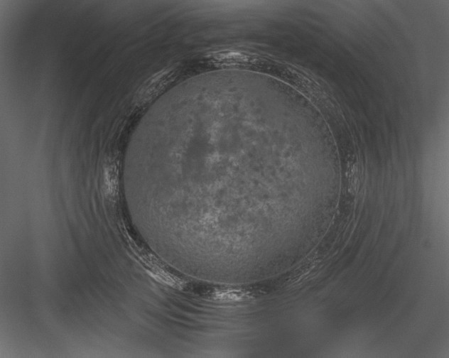 X0000084030753200702232258