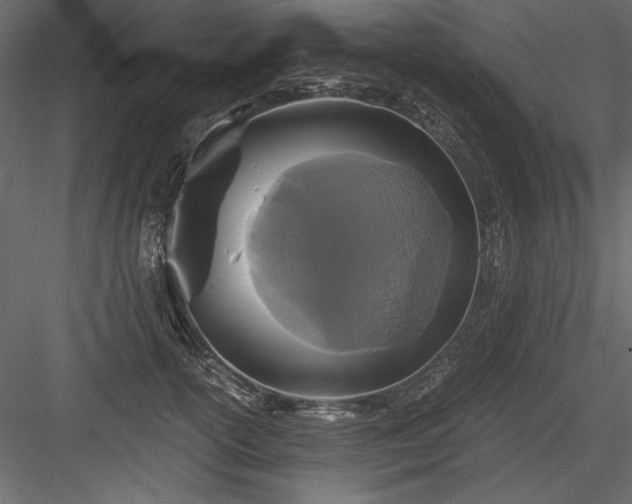 X0000084030754200702232258