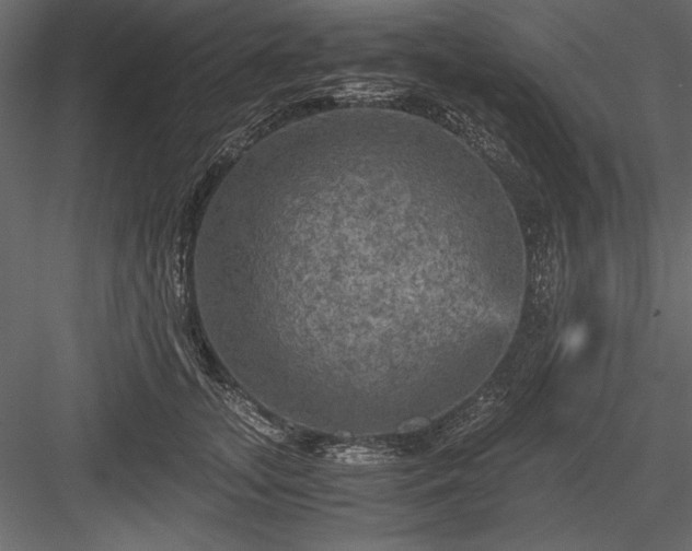 X0000084030755200702232258