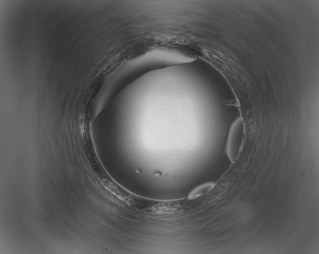 X0000084030756200702232258