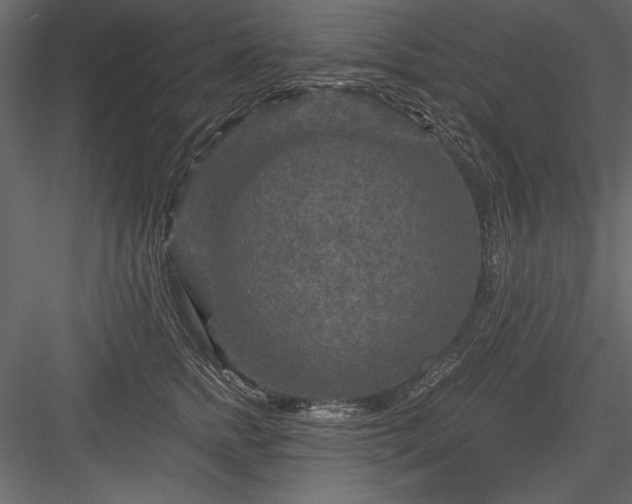 X0000084030758200702232258