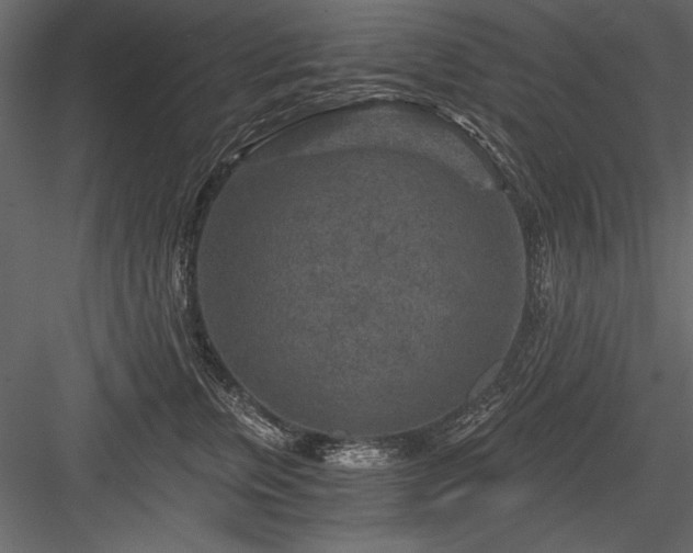 X0000084030759200702232258