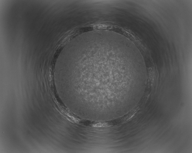 X0000084030761200702232258