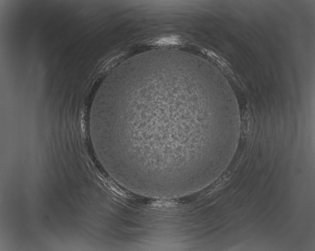 X0000084030762200702232258