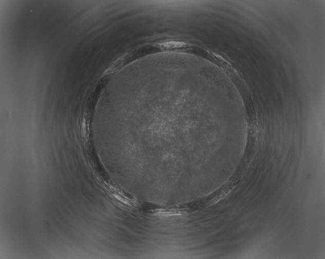 X0000084030763200702232258