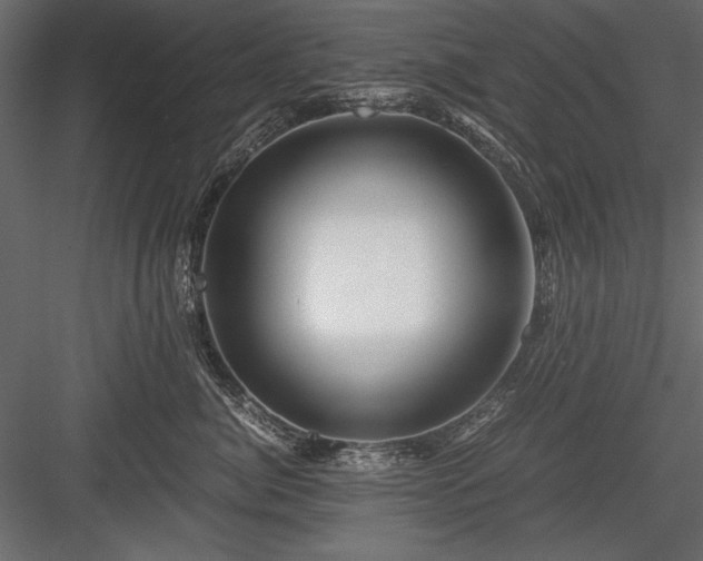 X0000084030764200702232258