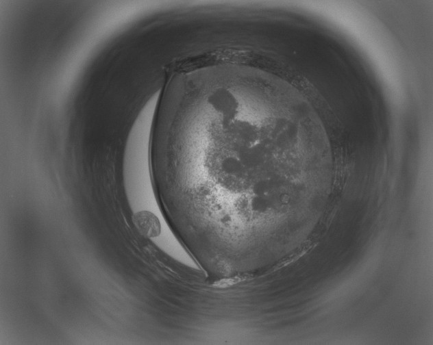 X0000084030765200702232258