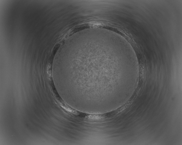 X0000084030766200702232258