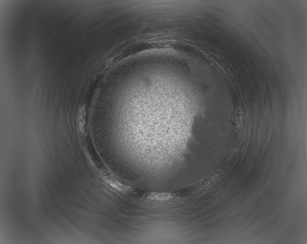 X0000084030767200702232258