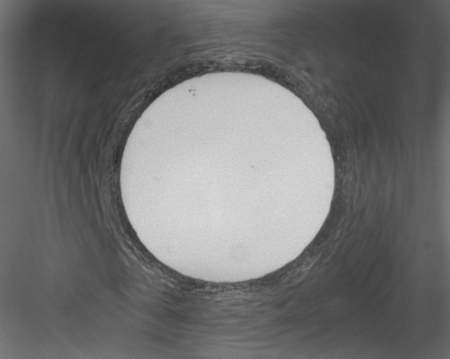 X0000084030769200702232257