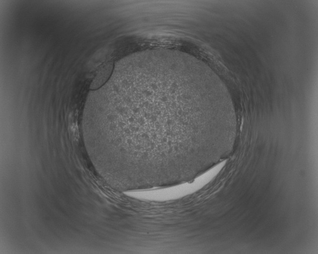 X0000084030771200702232257