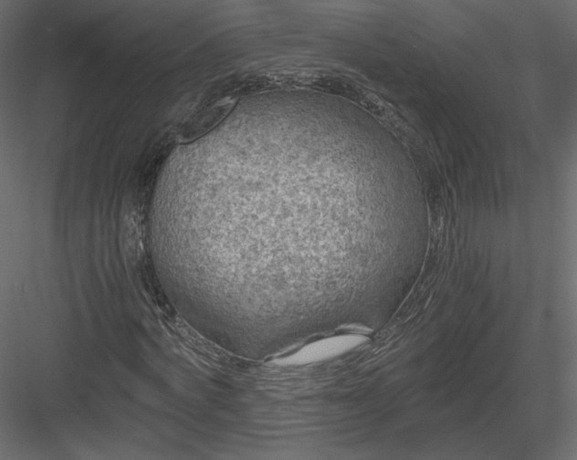 X0000084030772200702232257