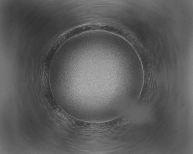 X0000084030773200702232257