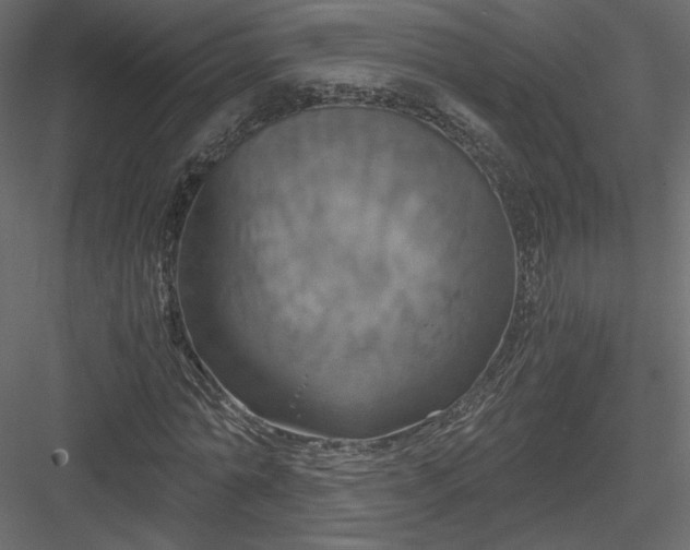 X0000084030774200702232257