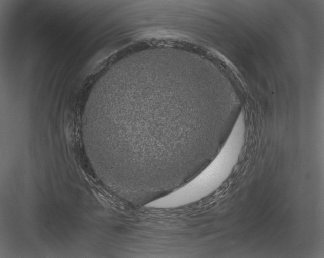 X0000084030775200702232257