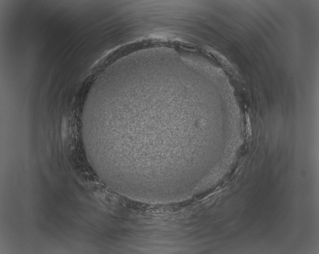 X0000084030776200702232257