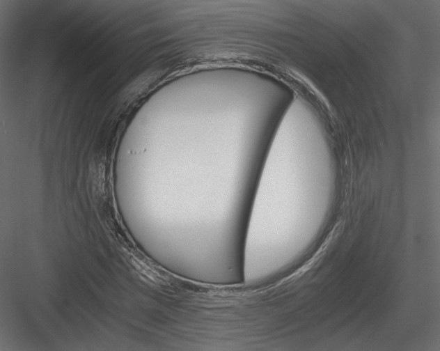 X0000084030777200702232257