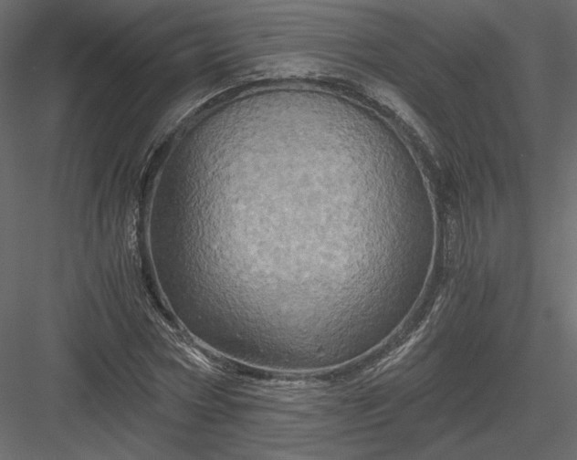 X0000084030778200702232257