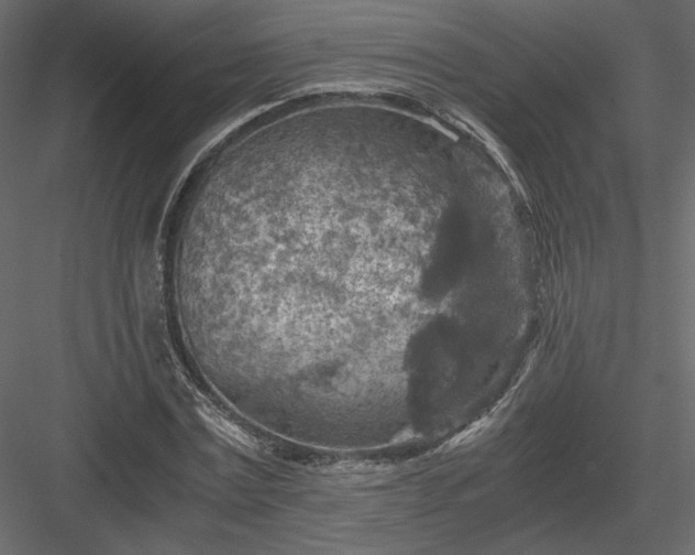 X0000084030779200702232257