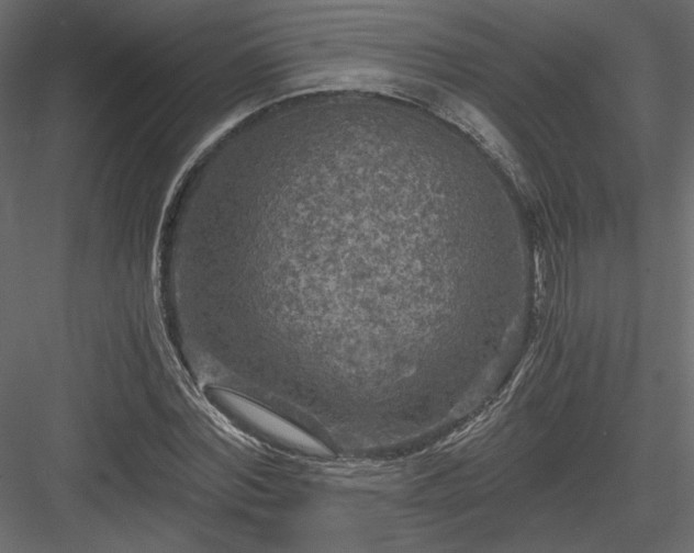 X0000084030780200702232257