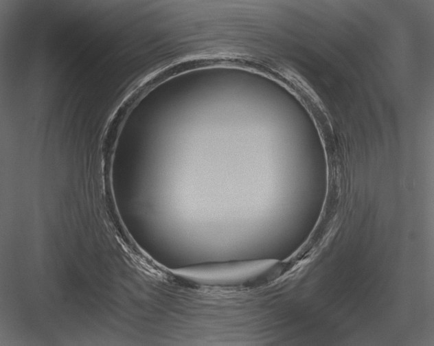 X0000084030781200702232257