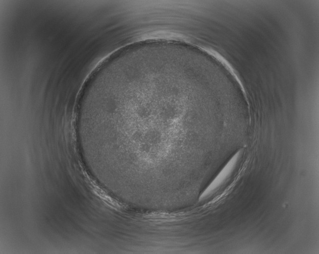 X0000084030783200702232257