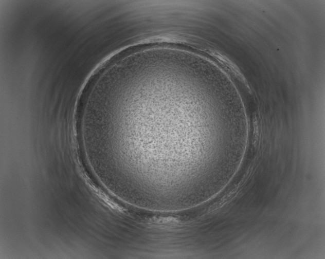 X0000084030784200702232257