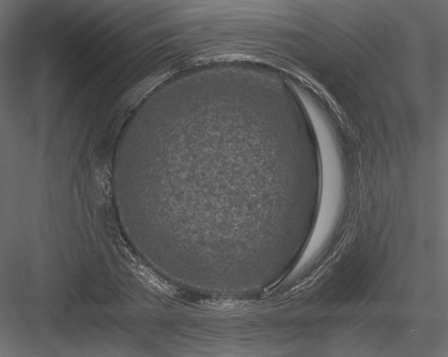 X0000084030785200702232257