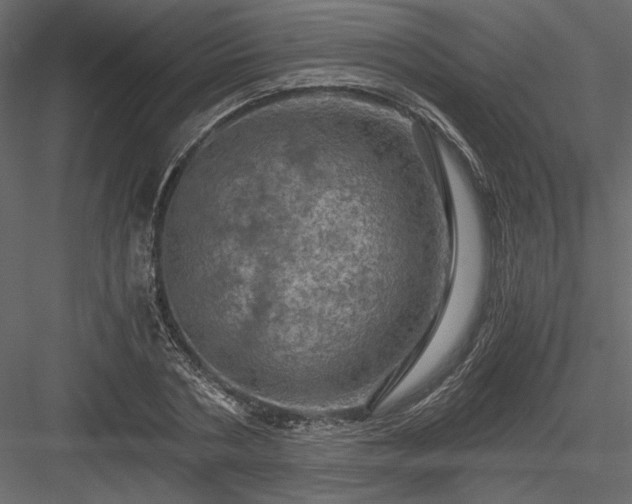 X0000084030786200702232257