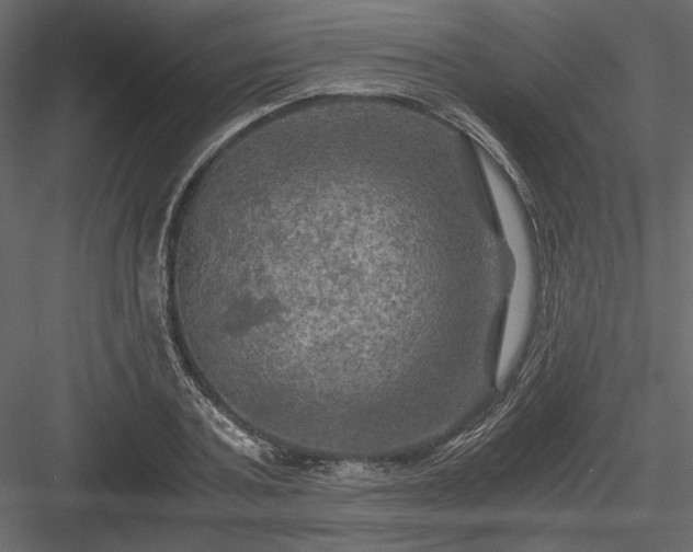 X0000084030787200702232257