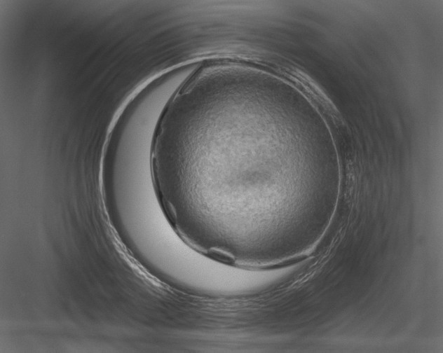 X0000084030788200702232257