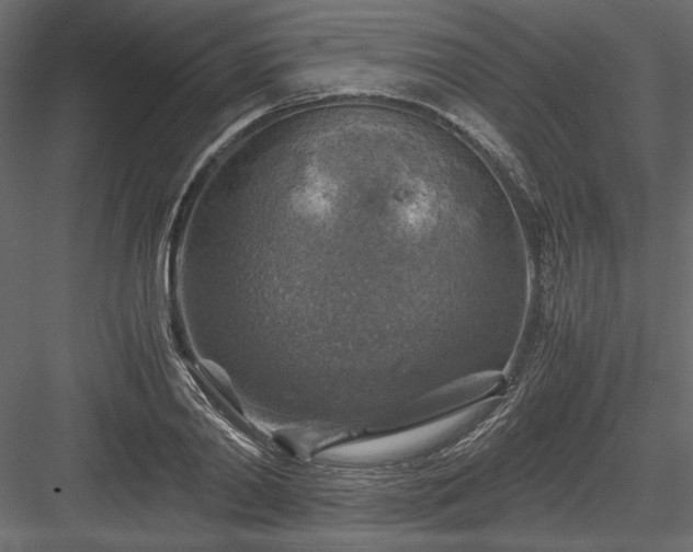 X0000084030790200702232257