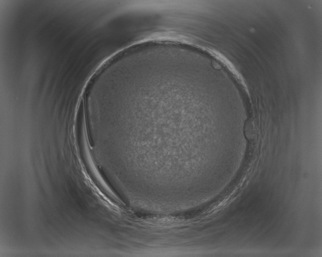 X0000084030791200702232257