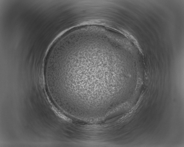 X0000084030792200702232257