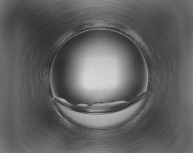 X0000084030793200702232257