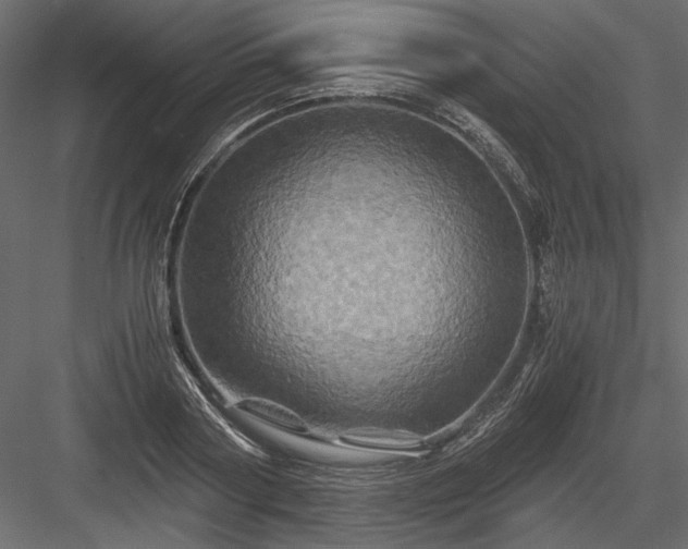 X0000084030794200702232257