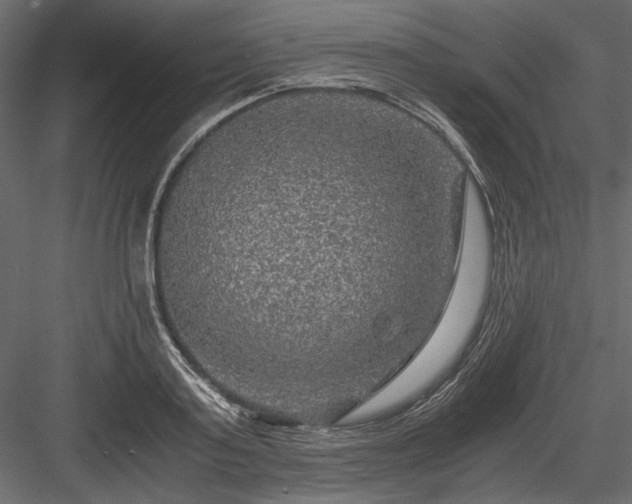 X0000084030795200702232257