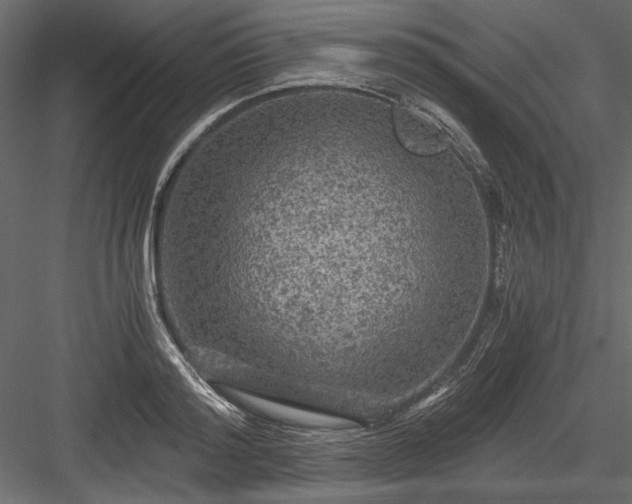 X0000084030796200702232257