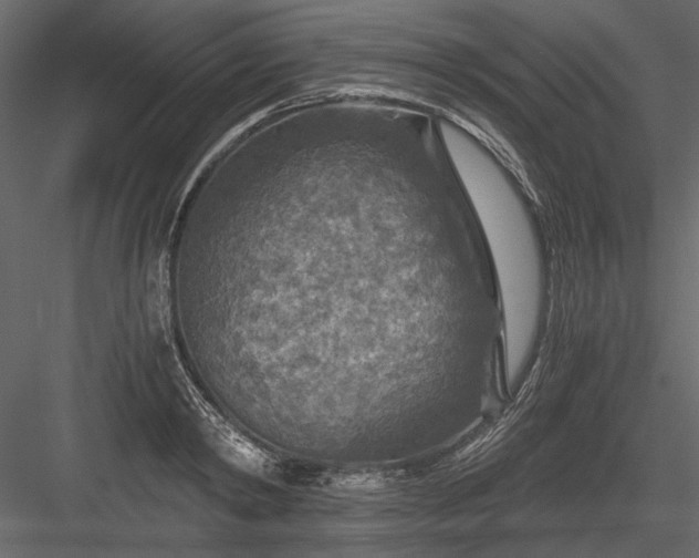 X0000084030798200702232257