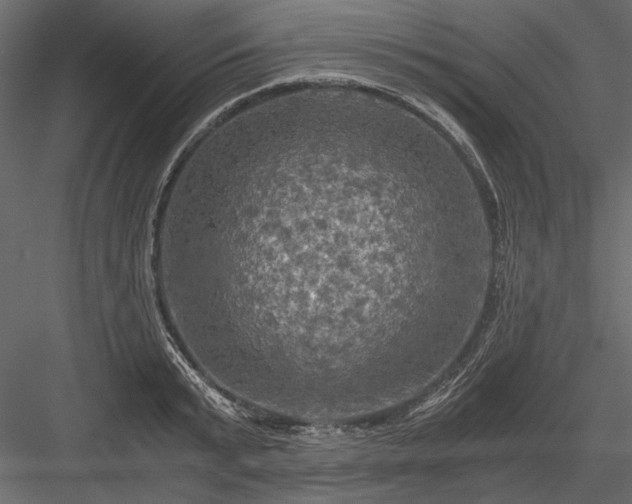 X0000084030799200702232257