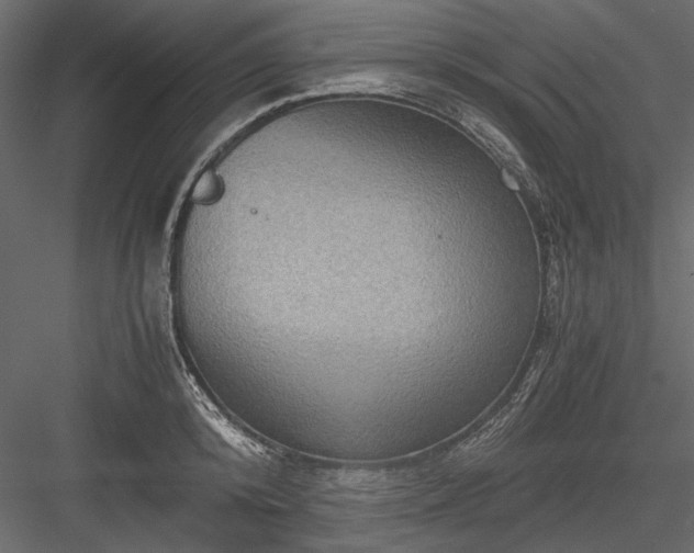 X0000084030800200702232257