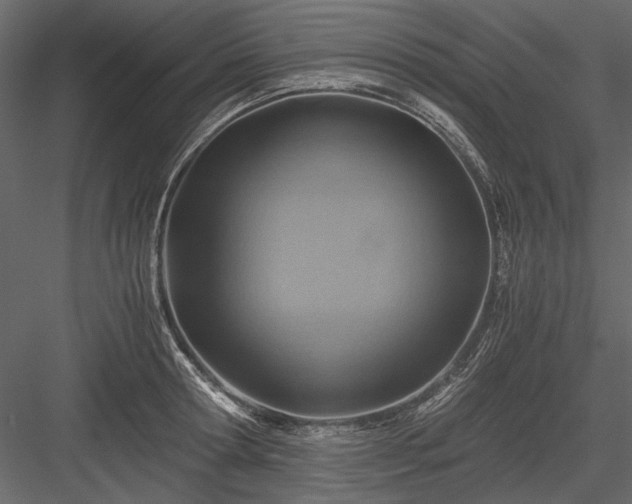 X0000084030802200702232257