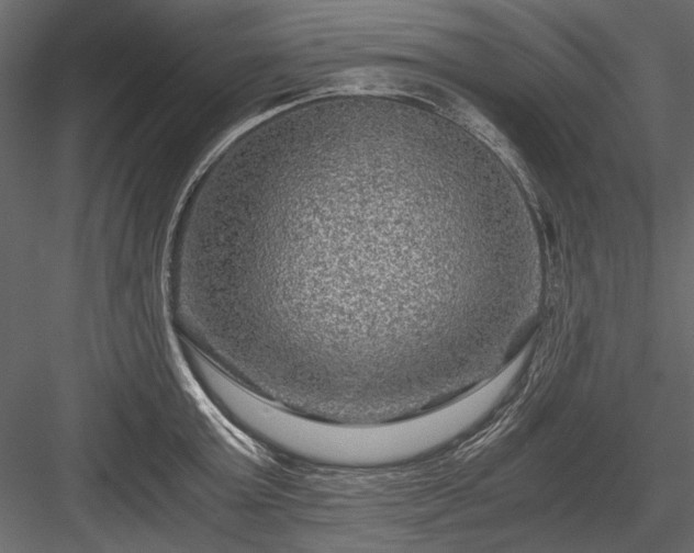 X0000084030803200702232257