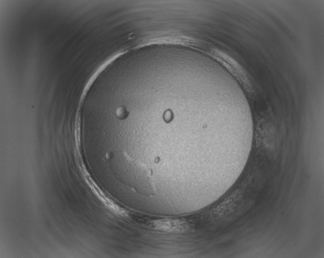 X0000084030804200702232257