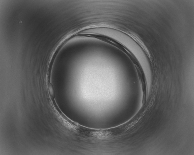 X0000084030805200702232257