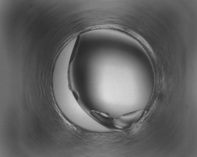 X0000084030809200702232257